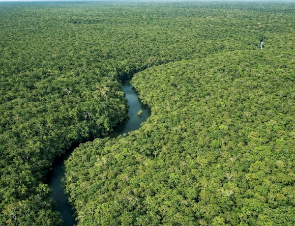 Desmatamento no Amazonas cai 30,1% no primeiro trimestre de 2026, aponta Inpe