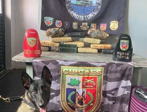 Base Arpão 2: Cão policial localiza mais de 13 quilos de maconha escondidos em mala durante abordagem