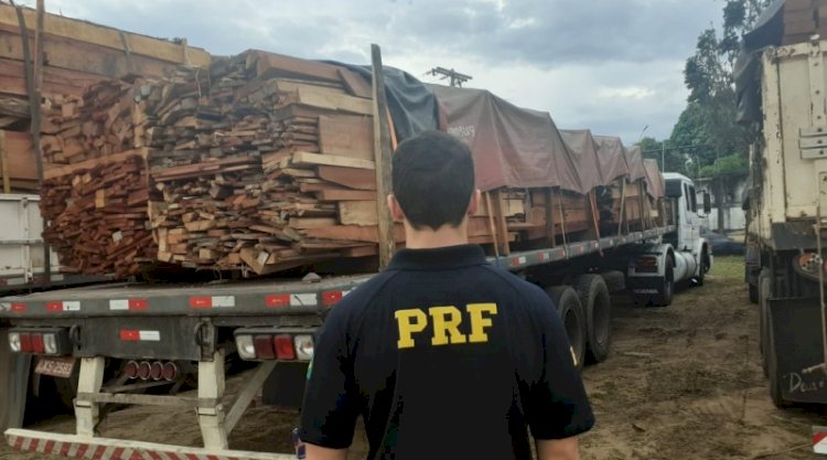 PRF apreende aproximadamente 267 m³ de madeira ilegal na BR 174