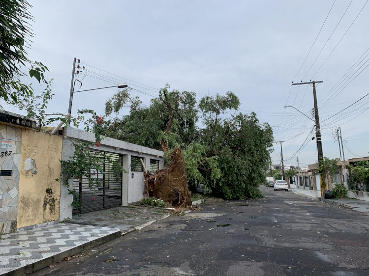 Forte chuva causa estragos em Manaus