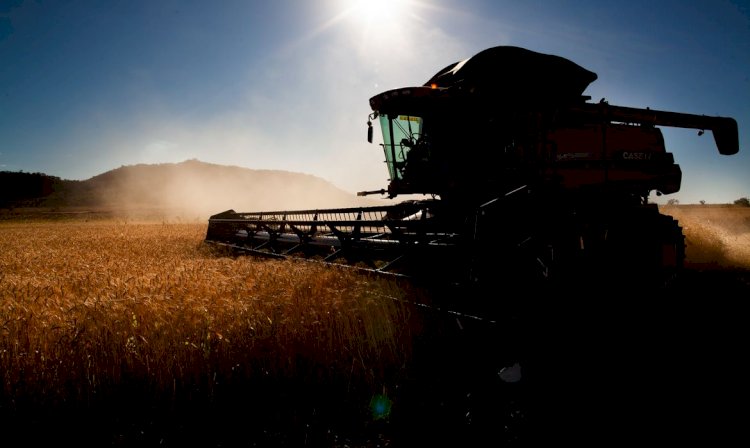 Indústria prevê alta de 10% na venda de máquinas agrícolas em 2020