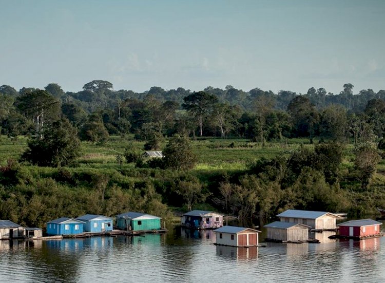 Natura lança aliança de empreendedorismo na Amazônia promove a economia de floresta em pé