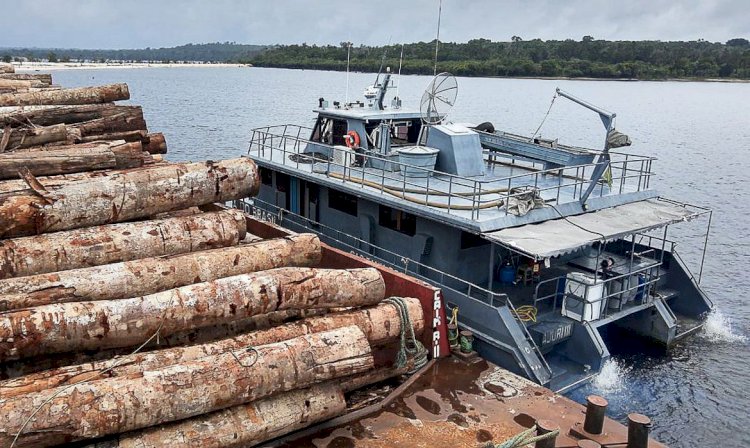 Forças Armadas apreendem balsas com toras de madeira no Pará