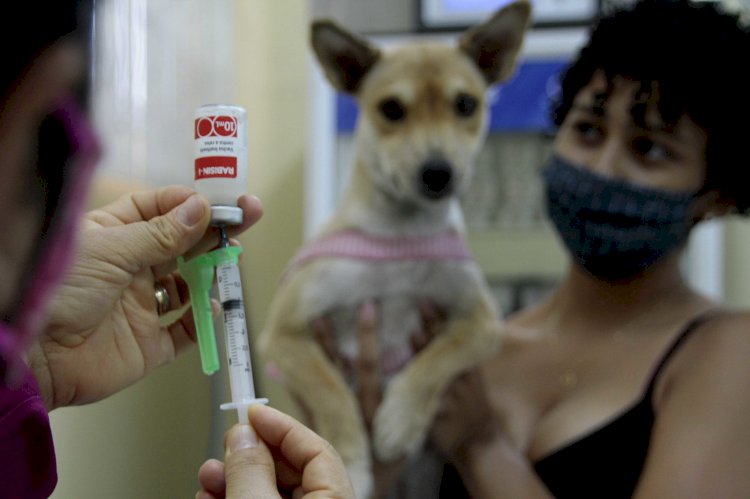Unidade móvel do CCZ retoma a vacinação antirrábica animal