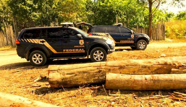 Justiça libera madeira apreendida pela PF que gerou atrito entre delegado e Salles