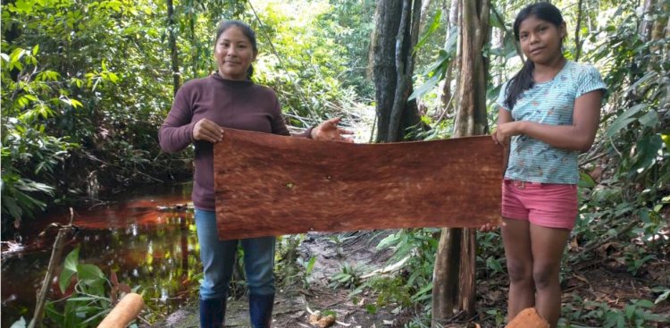 Projeto tenta resgatar cultura de comunidade em São Gabriel da Cachoeira