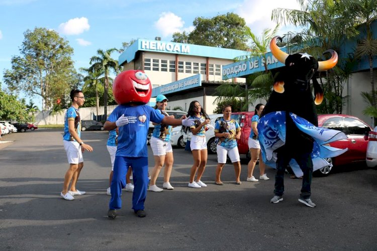 Movimento Marujada mobiliza para doação de sangue em Manaus nesta quinta-feira