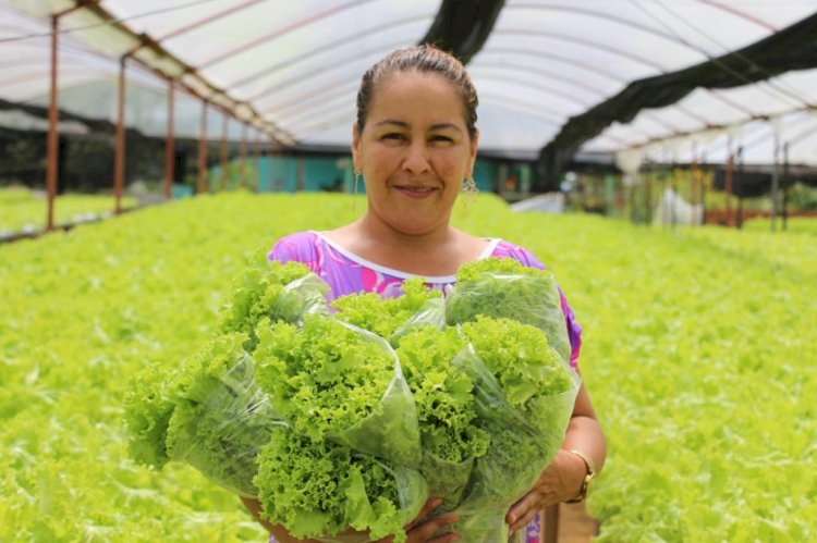 No Dia do Agricultor, Governo do Amazonas destaca investimentos e avanços no setor rural