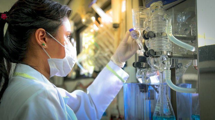 Edital Fapeam: Governo do Estado apoia estudantes em cursos de pós-graduação fora do Amazonas