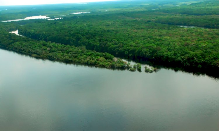 Vice-presidente visita a Amazônia na companhia de embaixadores