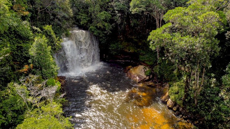 Semana da Pátria: dicas para aproveitar feriado prolongado no Amazonas