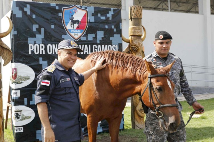 Após 20 anos, PMAM adquire novos cavalos para reforçar as atividades do Policiamento Montado