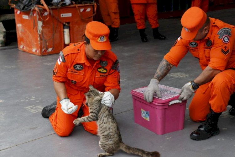 Em dez meses, Corpo de Bombeiros resgatou 138 animais domésticos em situação de risco em Manaus