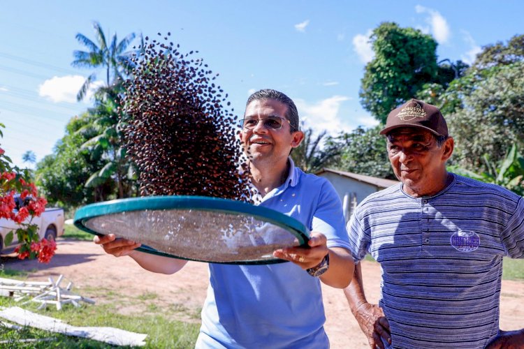 Deputado João Luiz envia anteprojeto de Lei ao Governo do Estado indicando a implantação do cultivo do café clonal no Amazonas