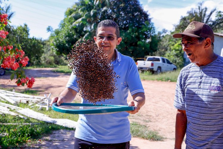 Proposta do deputado João Luiz de implantação do café clonal no Amazonas é destaque nacional na TV Senado