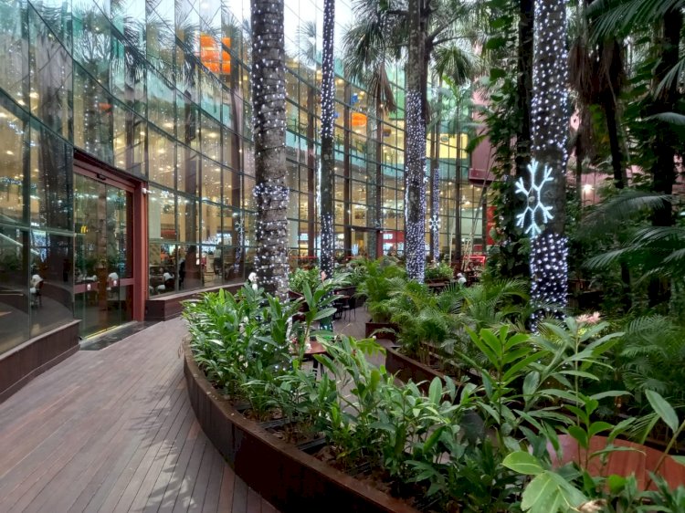 ‘Deck Buritizal’ reabre ao público com novidades no Manauara Shopping