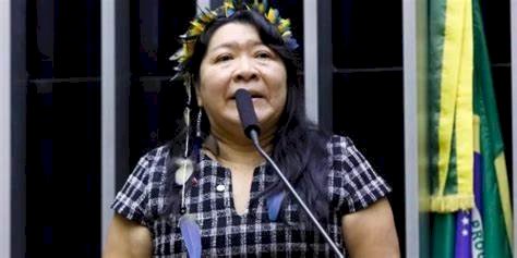 Deputada federal Joênia Wapichana indígena chefiará Funai