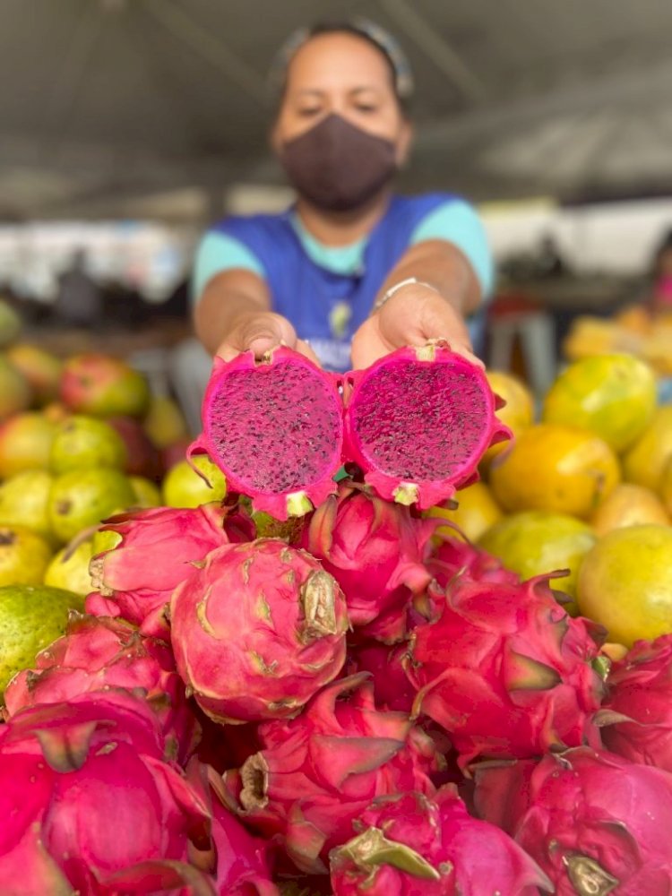 Frutas exóticas produzidas no Amazonas ganham destaque nas Feiras de Produtos Regionais da ADS