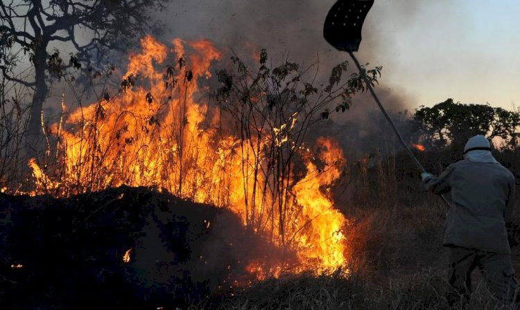 Amazônia concentra 90 %  área com focos de incêndio no 1º bimestre