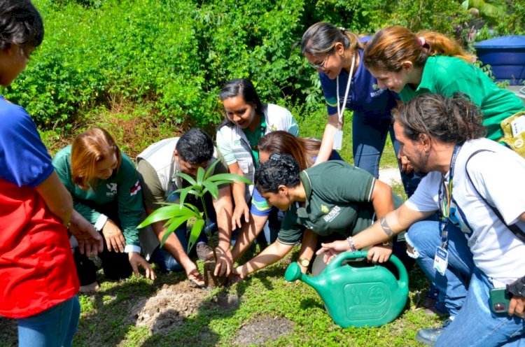 Semana da Água: Ipaam tem extensa programação em Manaus e Parintins