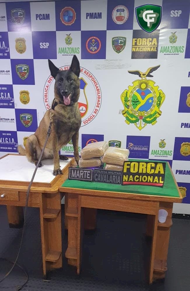 Base Arpão: agentes apreendem 11kg de skunk durante abordagem a embarcação