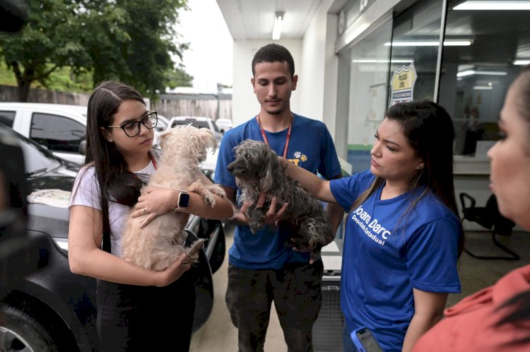 Após denúncia de Joana Darc, homem é detido e encaminhado à delegacia por estuprar cadela no Amazonas