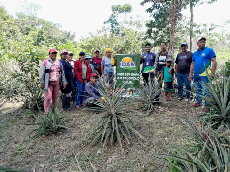 Em Tonantins, agricultores participam de Demonstração de Métodos sobre controle de pragas