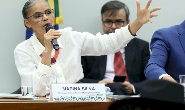 'Nosso tempo para agir está se esgotando', diz Marina Silva