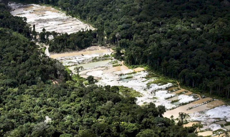 Força-tarefa destrói dez garimpos ilegais na Amazônia