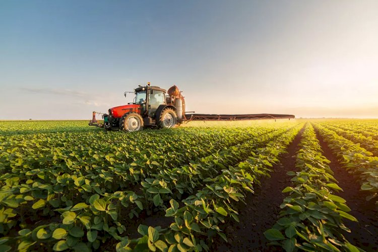 BNDES garante R＄ 50 bi em créditos para o agro em 2023