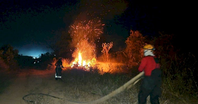 Corpo de Bombeiros combate 23 incêndios em áreas de vegetação na capital, nas últimas 48 horas