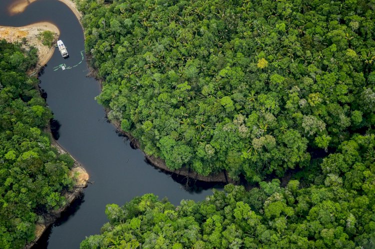 Amazonas é o melhor lugar do mundo para o ecoturismo, aponta a revista americana Forbes