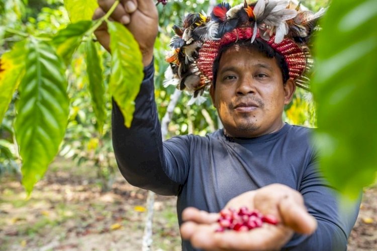 Investimento federal de R$ 7 milhões fortalece o PAA junto a comunidades indígenas no Amazonas