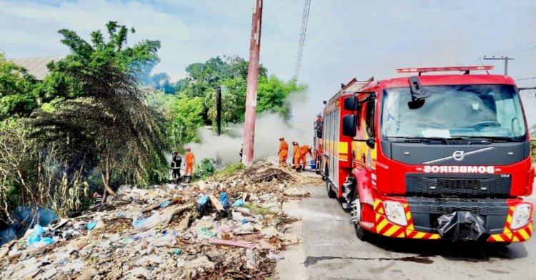 Em ação rápida, bombeiros evitam propagação de incêndio para área de mata no Distrito Industrial