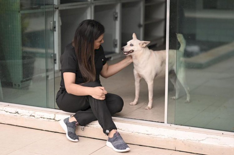 Deputada Joana Darc faz campanha para divulgação de animais disponíveis para adoção no Amazonas