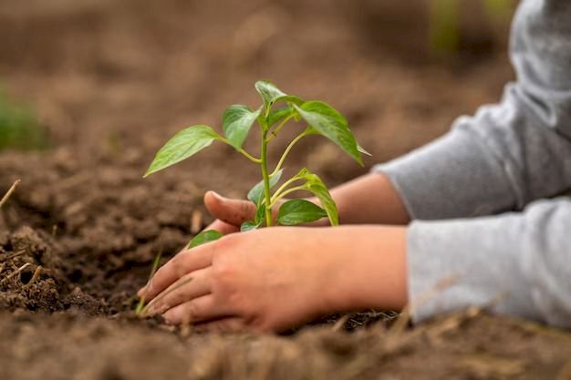 Dia da Terra: Centro Universitário promove ação ambiental em alusão a data