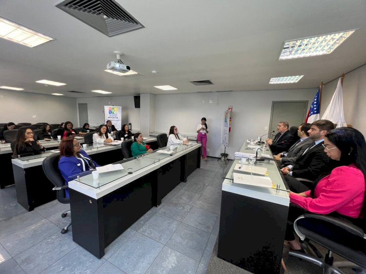 Deputado João Luiz debate na Aleam sobre os impactos da Base Virtual de Flagrantes ao atendimento de vulneráveis