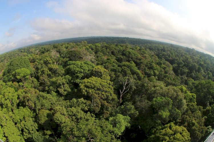 Memórias bioculturais e biodiversidades são destaques em evento nacional apoiado pelo Governo do Amazonas