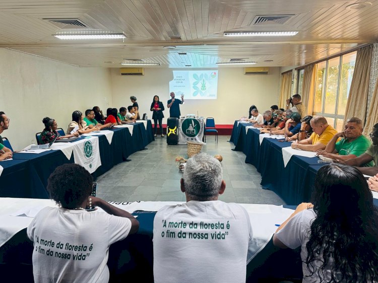 Extrativistas denunciam assédio de empresa responsável por um dos maiores projetos de sequestro de carbono do Pará