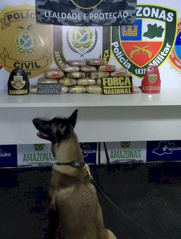 Base Arpão 3: Cadela policial localiza 26 quilos de drogas em banheiro de embarcação
