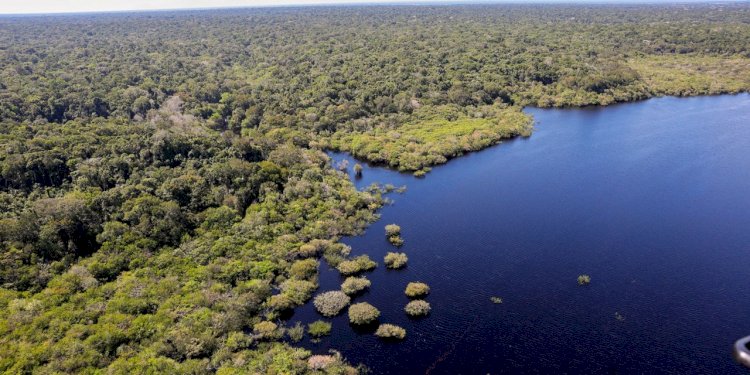 Fundo JPA destina R$ 700 mil a projetos de impacto socioambiental na Amazônia Legal