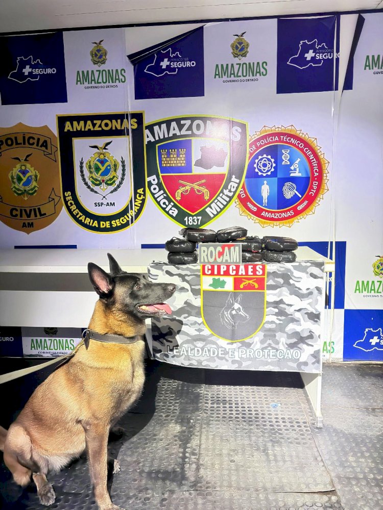 Base Arpão 3: Cadela policial encontra 12 quilos de drogas em bagagem