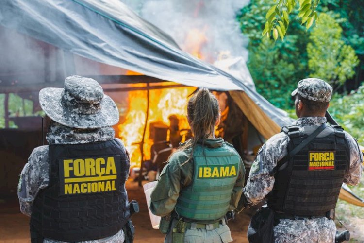 Governo Federal destrói o dobro dos alvos previstos e impõe prejuízo milionário ao garimpo na Terra Indígena Kayapó