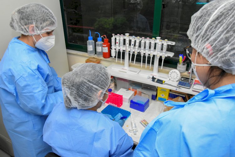 Projeto Futuras Cientistas abre inscrições para imersão na Fiocruz Amazônia voltada para alunas e professoras do Ensino Médio da rede pública