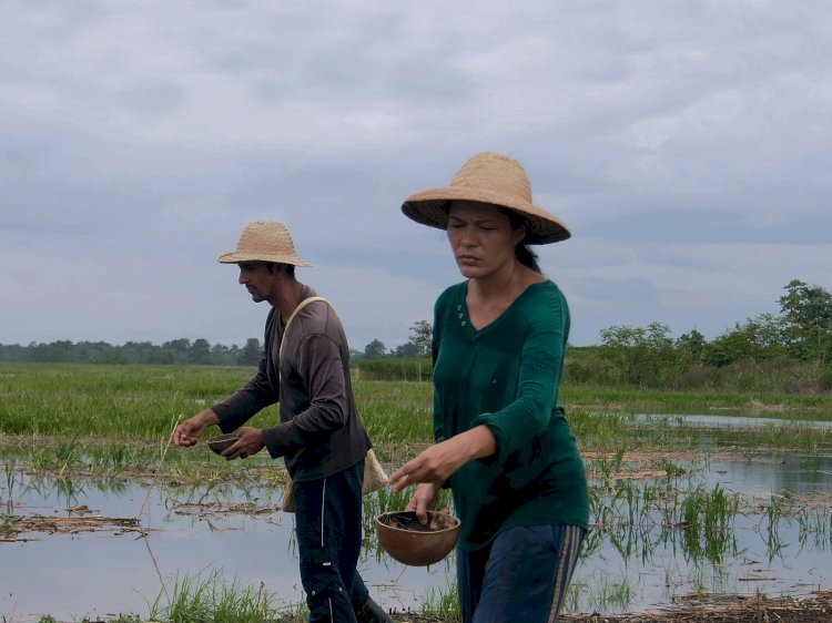 Festival Olhar do Norte 2025:  ‘Dia dos Pais’ e ‘Enquanto O Céu Não Me Espera’ são destaques na noite de abertura