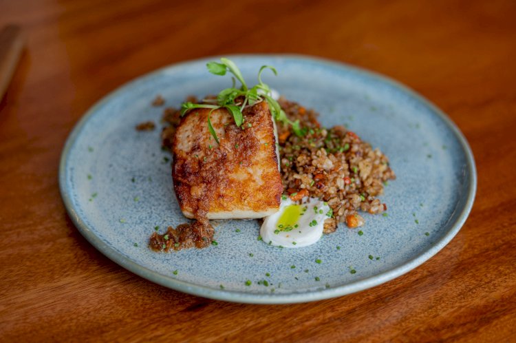 Pirarucu manejado de forma sustentável protagoniza festival gastronômico em Belém