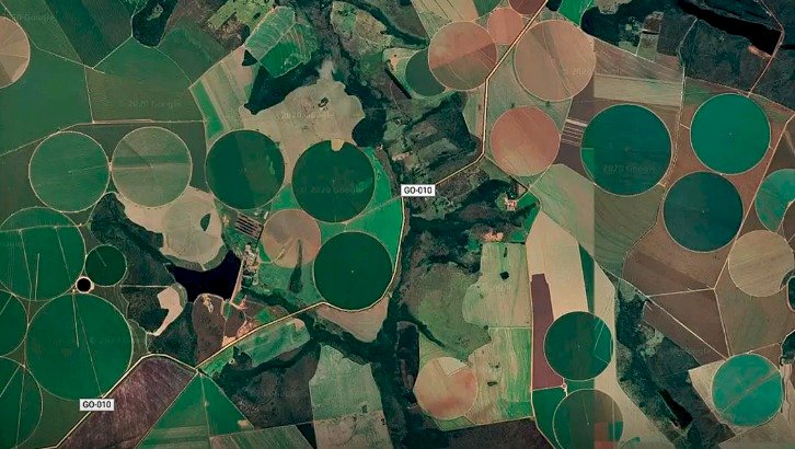 Cerrado brasileiro perdeu 28