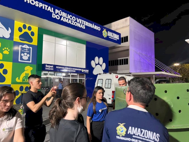 Operação da Sepet-AM resgata 24 cachorros em situação de maus-tratos no bairro Flores, em Manaus