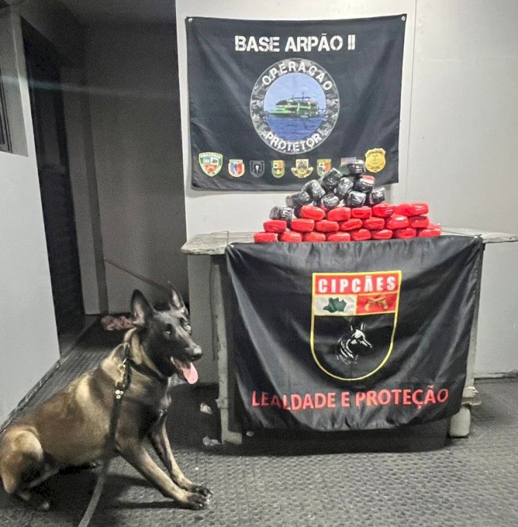 PMAM apreende 15 quilos de entorpecentes escondidos entre garrafões de água