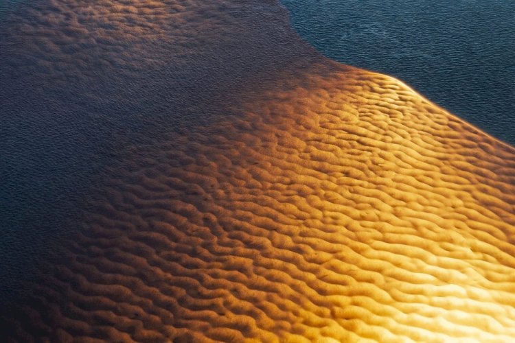 Exposição 'Segredos Amazônicos' revela olhares sensíveis sobre a floresta no Manauara Shopping